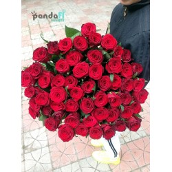 51 червона троянда Гран При 70 см