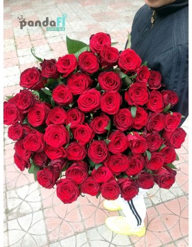 51 червона троянда Гран При 70 см