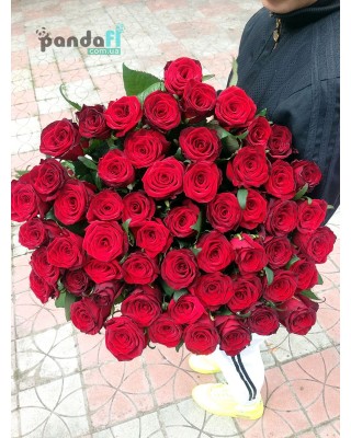 51 червона троянда Гран При 70 см