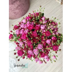 51 кущова троянда