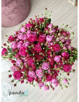 51 bush rose