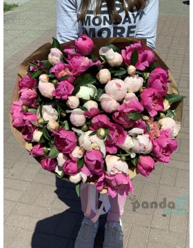 51 white and pink peonies