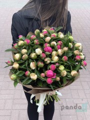 51 півонія