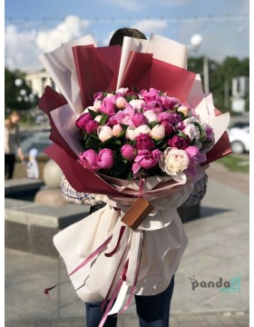 51 пион микс #2
