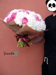 51 peony mix