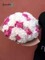 51 peony mix
