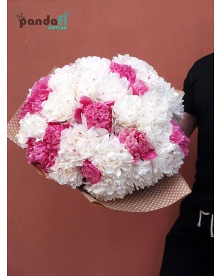 51 peony mix