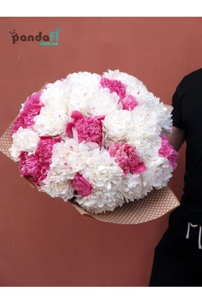 51 peony mix