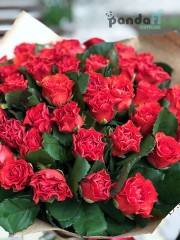 51 червона троянда Ель Торо 50 см