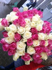 51 roses mix of white and pink 70 cm