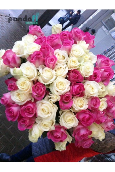 51 roses mix of white and pink 70 cm