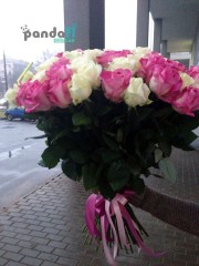 51 roses mix of white and pink 70 cm