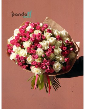 51 roses mix of white and pink bushes 60 cm