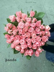 51 pink rose Karina 70 cm