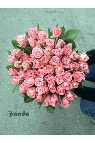 51 pink rose Karina 70 cm