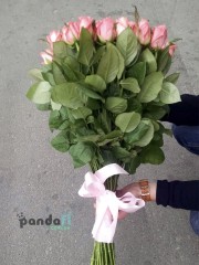 51 pink rose Karina 70 cm
