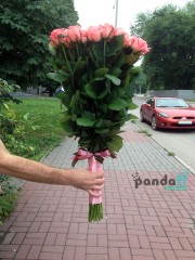 51 рожева троянда 80 см