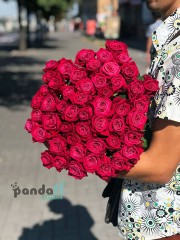 51 малинова троянда Шангріла 60 см