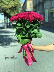 51 малинова троянда Шангріла 60 см