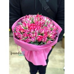 51 розовый тюльпан