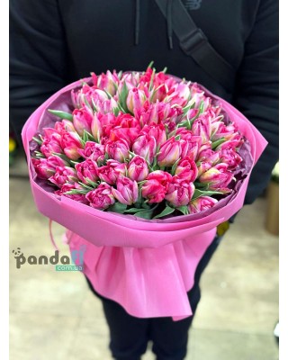 51 розовый тюльпан