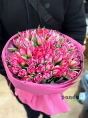 51 рожевий тюльпан