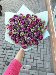 51 фиолетовый тюльпан