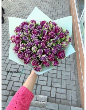 51 фиолетовый тюльпан
