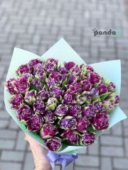 51 фиолетовый тюльпан