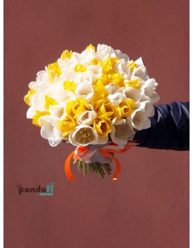 51 tulips, mix of white and yellow