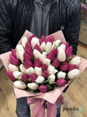 51 тюльпан мікс білих та фіолетових