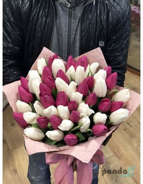 51 tulips, mix of white and purple