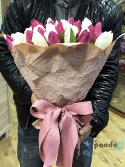 51 тюльпан мікс білих та фіолетових