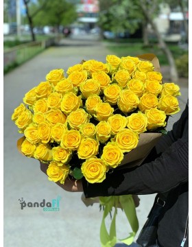 51 yellow rose 80 cm