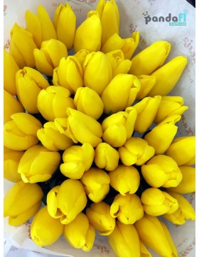 51 yellow tulips