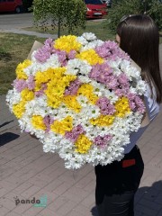 55 хризантем