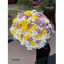 55 хризантем