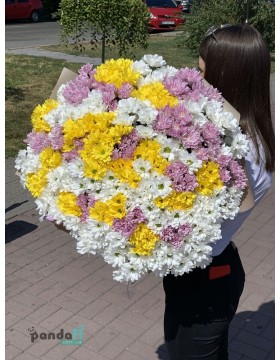 55 хризантем