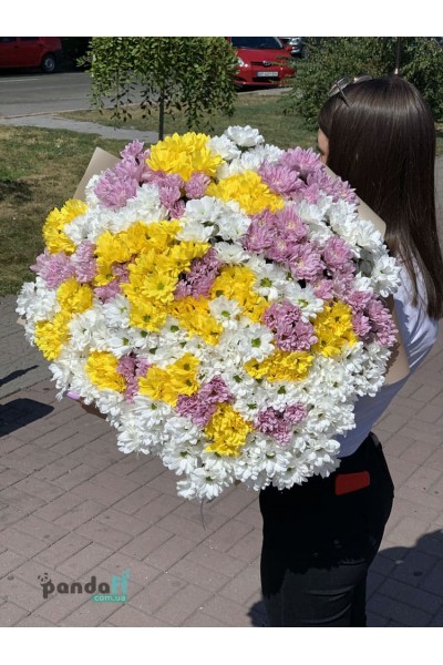 55 хризантем
