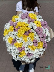 55 хризантем