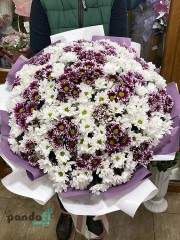 55 хризантем мікс