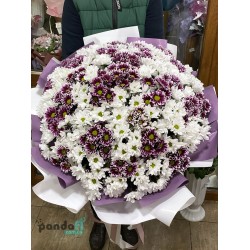 55 хризантем мікс