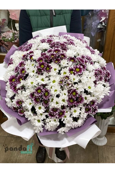 55 хризантем мікс