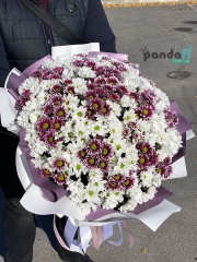 55 хризантем мікс