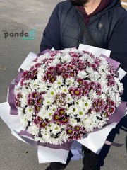 55 хризантем мікс