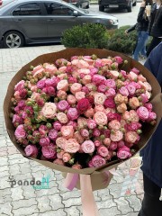 55 кущових троянд