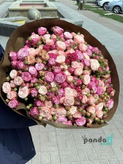 55 кущових троянд