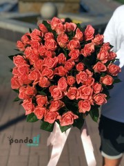 51 рожева троянда 90 см