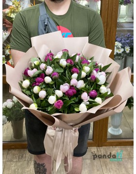 55 пионов