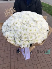 59 білих хризантем